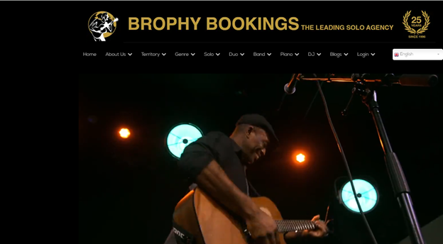 Solo pub musician strumming under amber lights, filling the night with stories and songs.